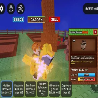 GOLDEN RACCOON 10.20 AGE 💯 (Sss)