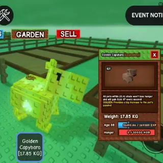 GOLDEN CAPYBARA (PHCERU)