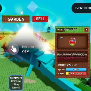 39.11 KG! AGE 💯 NIGHTMARE 🌈 RAINBOW HATCHED STAG BEETLE AGE 100 💯 ARGO