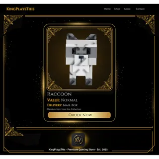 Raccoon | x10