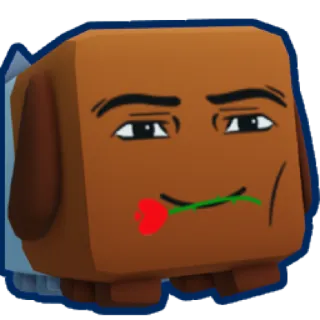 100x Man Face Dogcat BGSI