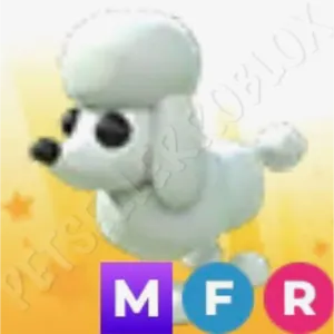 MFR Poodle