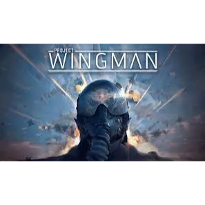 PROJECT WINGMAN - Steam - Instant Delivery
