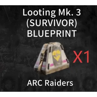 Looting MK3 survlvor BLUEPRLNT  X1