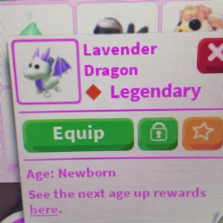 lavender dragon