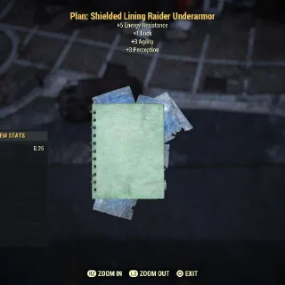 Shielded Lining Raider