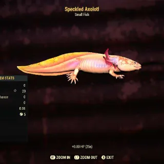Speckled Axolotl