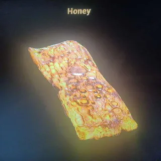 Other | 100 Honey