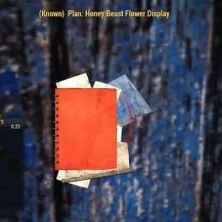 Honey Beast Flower Disp