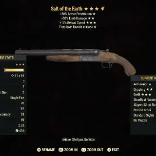 Salt Of The Earth
