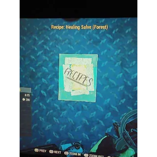 Plan | Healing Salve Forest