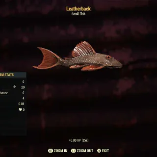 Leatherback