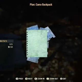 Camo Backpack