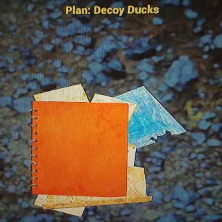 Plan | Decoy Ducks