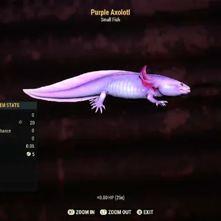 Purple Axolotl