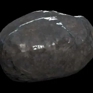 10k Coal