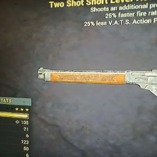 Weapon | TS2525 LAR