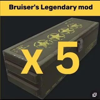 5x Bruiser's Mods
