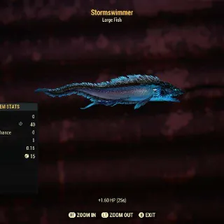Stormswimmer