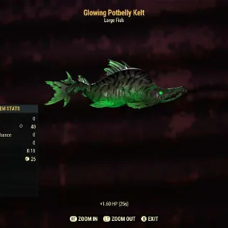 Glowing Potbelly Kelt