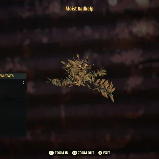 Moist Radkelp