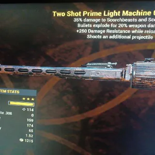 Weapon | TSE250 Light Machine Gun