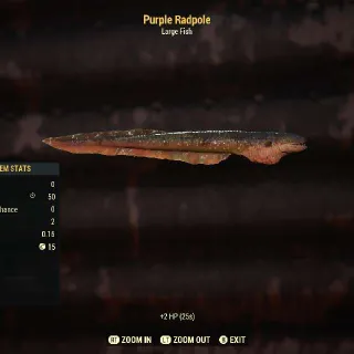 Purple Radpole