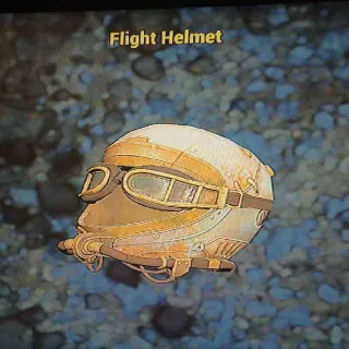 Apparel | Flight Helmet