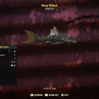 Wavy Willard