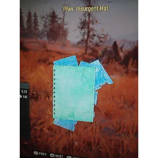 Plan | Insurgent Hat