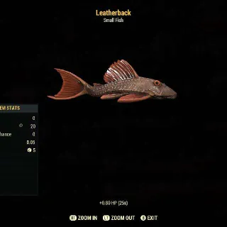 Leatherback