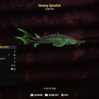 Glowing Spinefish
