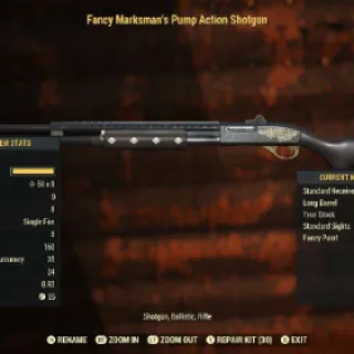 Fancy Armor PAS
