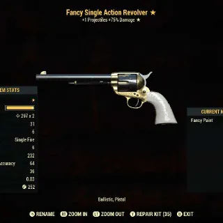 Fancy Two Shot SAR
