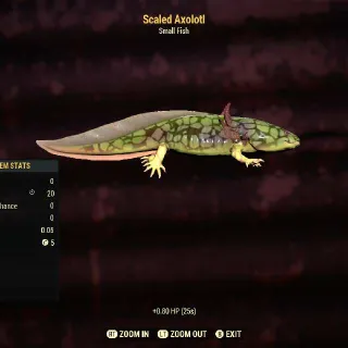 Scaled Axolotl