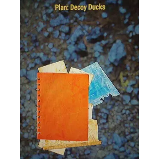 Plan | Decoy Ducks