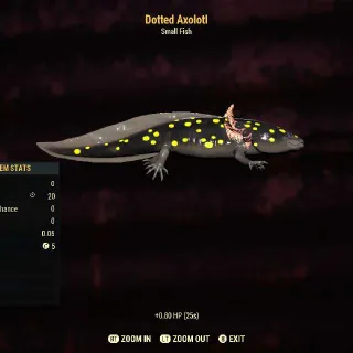 Dotted Axolotl
