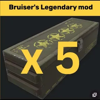 5x Bruiser's Mods