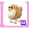 Mega Pomeranian