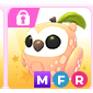 MEGA peach owl
