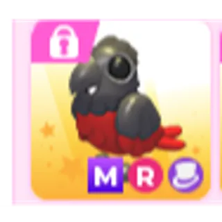 MEGA dracula parrot
