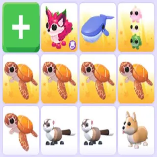 ADOPT ME PETS BUNDLE 11X