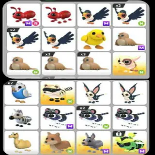 Adopt Me Exotic Adds  Bundle 32×