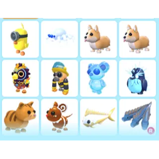 ADOPT ME PET BUNDLE #1