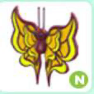 N AMBER BUTTERFLY