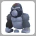 SILVERBACK GORILLA