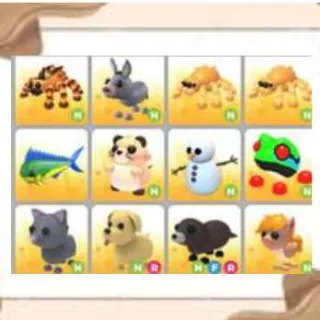 ADOPT ME PETS NEON BUNDLE 12X