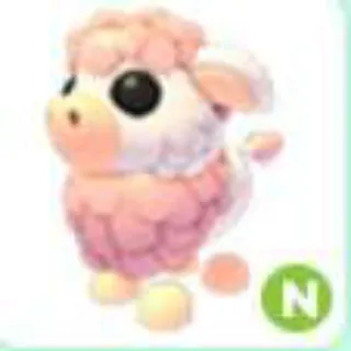 N ANGUS COW