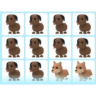 ADOPT ME PET BUNDLE #1