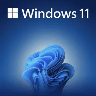 Windows 11 Pro